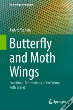 Capa do artigo Butterfly And Moth Wings
