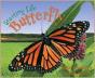 Butterfly - Preview