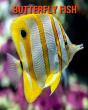 Butterfly Fish - Preview