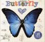 Butterfly - Preview