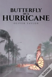 Capa do artigo Butterfly In A Hurricane