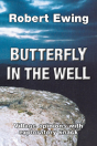 Butterfly In The Well - Preview