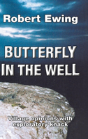 Butterfly In The Well - Preview