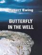 Butterfly In The Well - Preview