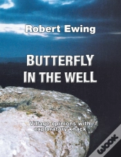 Capa do artigo Butterfly In The Well