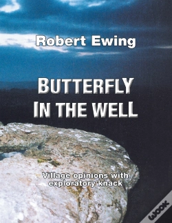 Capa do artigo Butterfly In The Well