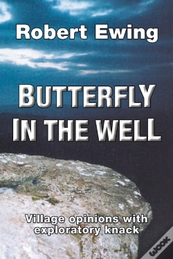 Capa do artigo Butterfly In The Well