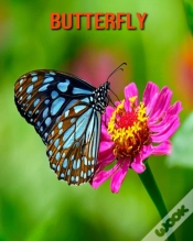 Capa do artigo Butterfly