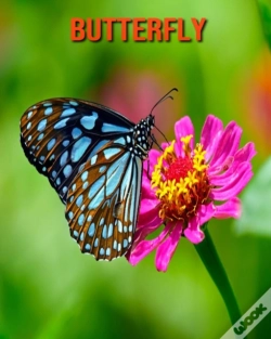 Capa do artigo Butterfly