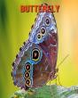 Butterfly - Preview
