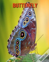 Capa do artigo Butterfly