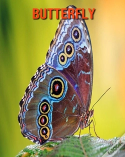 Capa do artigo Butterfly