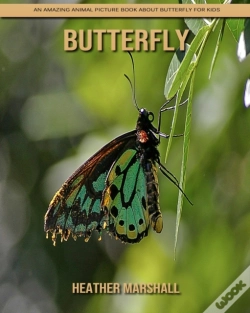 Capa do artigo Butterfly