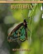 Butterfly - Preview
