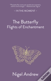 Capa do artigo Butterfly