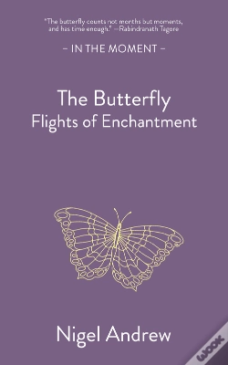 Capa do artigo Butterfly