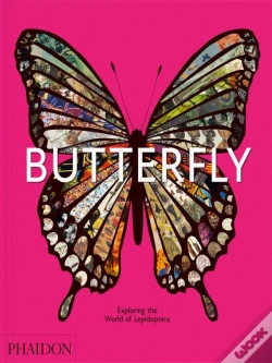 Capa do artigo Butterfly