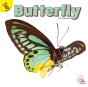 Butterfly - Preview