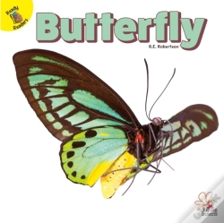 Capa do artigo Butterfly
