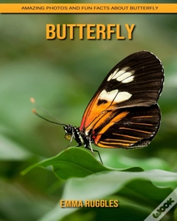 Capa do artigo Butterfly