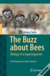 Capa do artigo Buzz About Bees