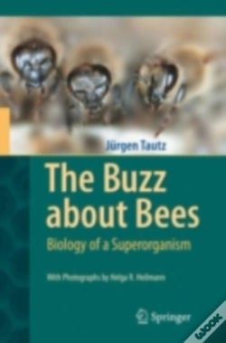 Capa do artigo Buzz About Bees