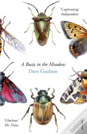 Capa do artigo Buzz In The Meadow