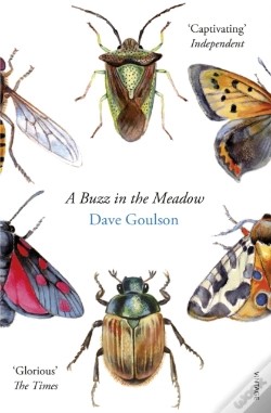 Capa do artigo Buzz In The Meadow