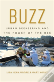 Capa do artigo Buzz