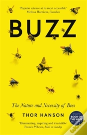 Capa do artigo Buzz