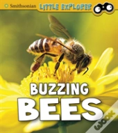 Buzzing Bees