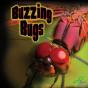 Buzzing Bugs - Preview