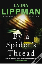 Capa do artigo By A Spider