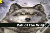 By The Lake - Foxton Reader Starter Level (300 Headwords A1) With Free Online Audio