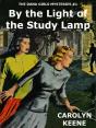 By The Light Of The Study Lamp - Preview