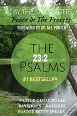 Capa do artigo By The Still Waters