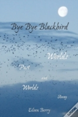 Capa do artigo Bye Bye Blackbird