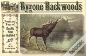 Capa do artigo Bygone Backwoods