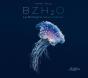 Bzh2o : La Bretagne Sous-Marine - Preview