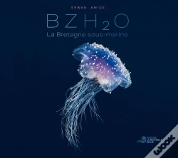 Capa do artigo Bzh2o : La Bretagne Sous-Marine