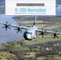 C-130 Hercules - Preview