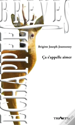 Capa do artigo Ça S'Appelle Aimer