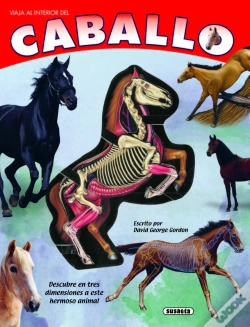 Capa do artigo Caballo  