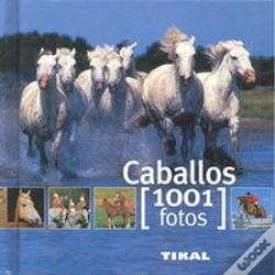 Capa do artigo Caballos