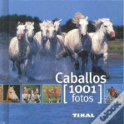 Capa do artigo Caballos