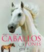 Caballos Y Ponis - Preview