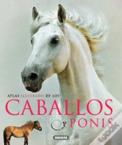 Capa do artigo Caballos Y Ponis