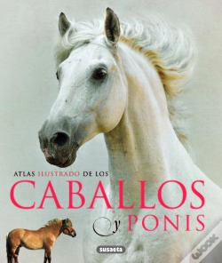 Capa do artigo Caballos Y Ponis