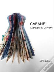 Capa do artigo Cabane
