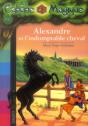 Cabane Magique N44 - Preview